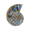 Ammonite Half with Abalone Inlay Cabochon 30mm - 1 piece