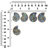 Ammonite Half with Abalone Inlay Cabochon 30mm - 1 piece