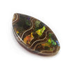 Ammonite with Ammolite Inlay Free-Form Cabochon 55mm - 1 piece