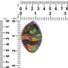 Ammonite with Ammolite Inlay Free-Form Cabochon 55mm - 1 piece