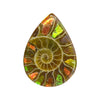 Ammonite with Ammolite Inlay Cabochons 16mm - 1 piece