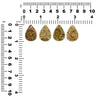 Ammonite with Ammolite Inlay Cabochons 25mm - 1 piece