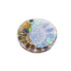 Ammonite with Ammolite Inlay Round Cabochons 18mm - 1 piece