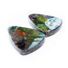 Ammolite Triangular Cabochons 24mm - 1 pair