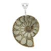 Starborn Pyrite Inlaid Ammonite Pendant in Sterling Silver with Filigree Bale