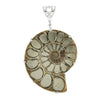 Starborn Pyrite inlaid Ammonite Pendant with sterling silver filigree detail