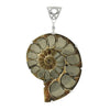 Starborn Pyrite inlaid Ammonite Pendant with sterling silver filigree detail