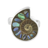 Starborn Ammonite with Abalone Shell Inlay Ring in Sterling Silver