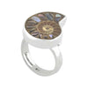 Starborn Ammonit mit Abalone-Muschel-Inlay-Ring aus Sterlingsilber 