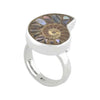 Starborn Ammonite with Abalone Shell Inlay Ring in Sterling Silver