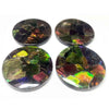 Ammolite große runde Cabochons 30 mm – 4 Stück