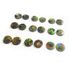 Ammolite Round Cabochons 12mm - 18 pieces
