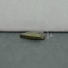 Ammolit-Herz-Cabochon 19 mm – 1 Stück