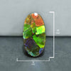 Ammolite Oval Cabochon 28mm - 1 piece