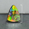 Ammolite Free-Form Triangle Cabochon 24mm - 1 piece