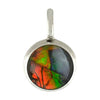 Starborn Round Ammolite Pendant in Sterling Silver