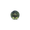 Genuine Moldavite brilliant diamond cut 7mm Round