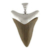 Fossil Giant "Great White" Tooth Sterling Silver Pendant