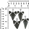 Fossil petrified Makoshark Tooth 925 Sterling Silver Pendant