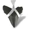 Fossil genuine black Sharktooth Sterling Silver Pendant