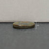 Ammolit-Freiform-Oval-Cabochon 28 mm – 1 Stück