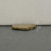Ammolite Free-Form Cabochon 26mm - 1 piece