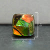 Ammolite Square Cushion Cabochon 11mm - 1 piece
