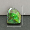 Ammolite Free-Form Cabochon 25mm - 1 piece