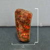 Ammolite Free-Form Cabochon 42mm - 1 piece