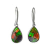 Starborn Ammolite Birnenohrringe aus Sterlingsilber 