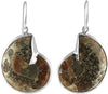 Starborn Ammolite inlaid Ammonite Earrings