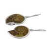 Starborn Sterling Silver Fossilized Ammonite Earrings