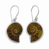 Starborn Sterling Silver Fossilized Ammonite Earrings