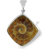 Starborn Sterling Silver Fossilized Ammonite Pendant